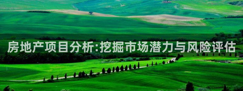 3和记电讯官网：房地产项目分析:挖掘市场潜力与风险评估