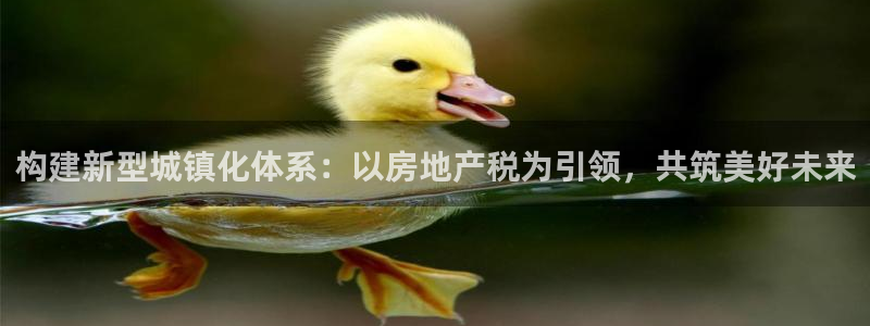 和记体育官网：构建新型城镇化体系：以房地产税为引领，共筑美好