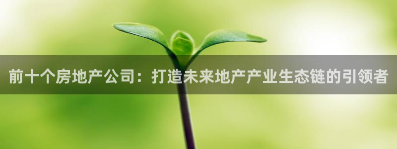 和记电讯官网澳门：前十个房地产公司：打造未来地产产业生态链的