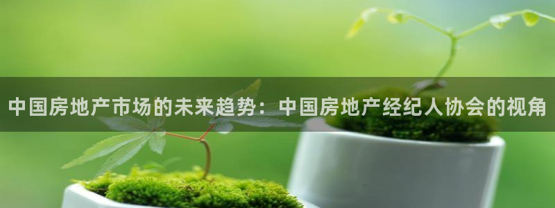 和记3电讯官网：中国房地产市场的未来趋势：中国房地产经纪人协