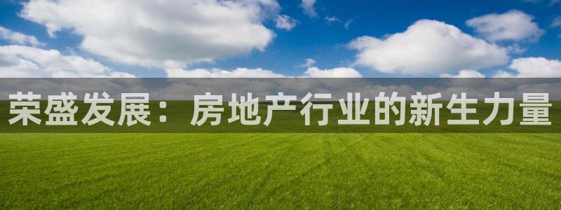 和记官网开户 银博网：荣盛发展：房地产行业的新生力量