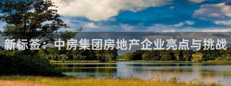 和记怡情视频在线官网：新标签：中房集团房地产企业亮点与挑战