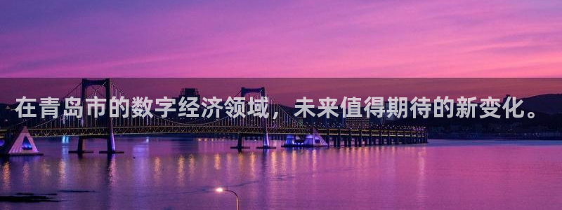 和记怡情官网电话：在青岛市的数字经济领域，未来值得期待的新变