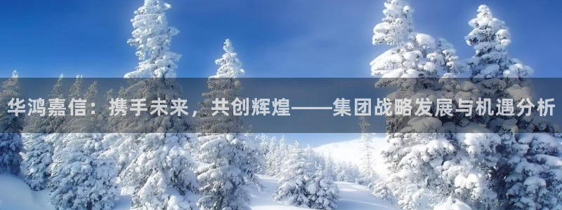 和记网址官网：华鸿嘉信：携手未来，共创辉煌——集团战略发展与