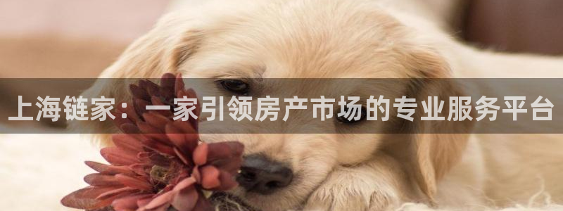 和记娱乐网官网：上海链家：一家引领房产市场的专业服务平台