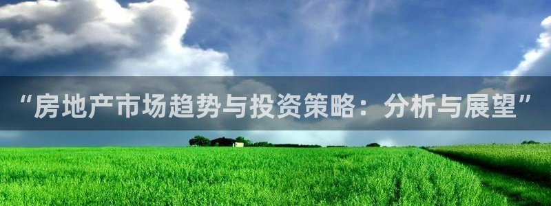 和记官网地址：“房地产市场趋势与投资策略：分析与展望”