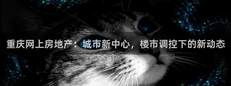 和记h88game官网：重庆网上房地产：城市新中心，楼市调控