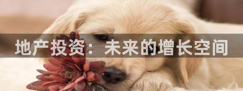 和记集团官网：地产投资：未来的增长空间