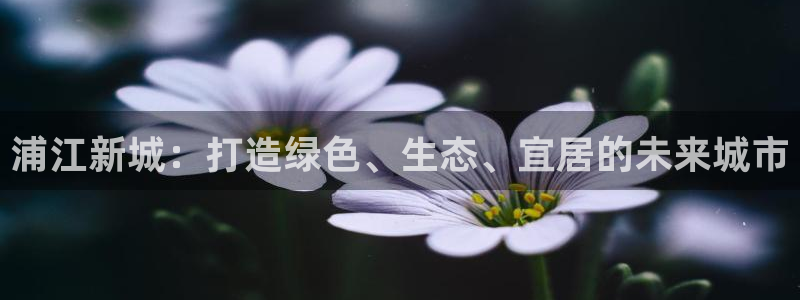 和记官网加盟：浦江新城：打造绿色、生态、宜居的未来城市