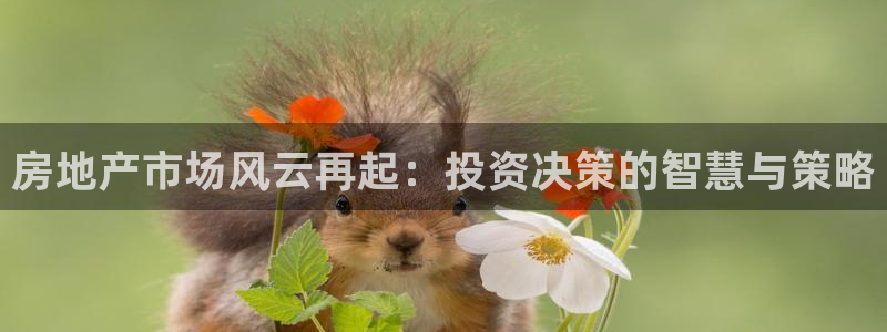 和记3卡官网是哪：房地产市场风云再起：投资决策的智慧与策略